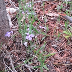 Unverified at suppressed - suppressed