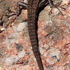 Unverified at suppressed - suppressed