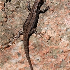 Unverified at suppressed - suppressed