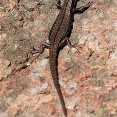 Unverified at suppressed - suppressed