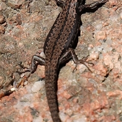 Unverified at suppressed - suppressed