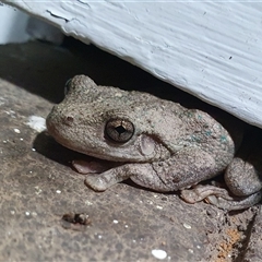 Unverified at suppressed - suppressed