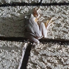 Unverified at suppressed - suppressed