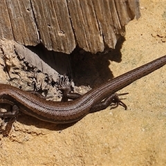 Unverified at suppressed - suppressed