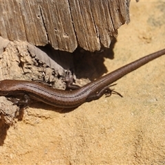 Unverified at suppressed - suppressed