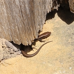 Unverified at suppressed - suppressed