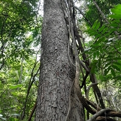 Unverified at suppressed - suppressed