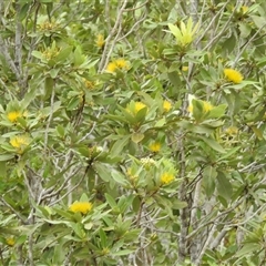 Unverified at suppressed - suppressed