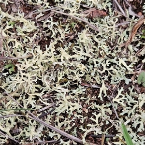 Unverified at suppressed - suppressed