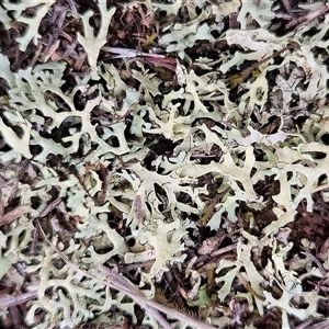 Unverified at suppressed - suppressed