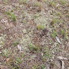 Unverified at suppressed - suppressed