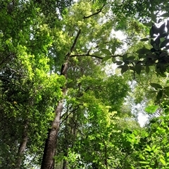 Unverified at suppressed - suppressed