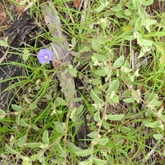 Unverified at suppressed - suppressed