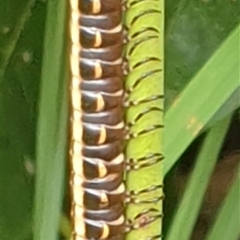 Unverified at suppressed - suppressed