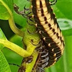 Unverified at suppressed - suppressed