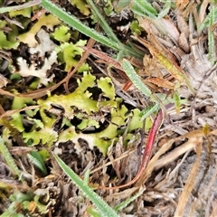 Unverified at suppressed - suppressed