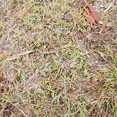 Unverified at suppressed - suppressed