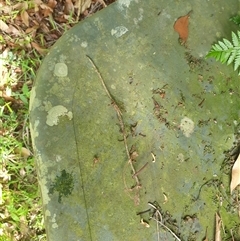 Unverified at suppressed - suppressed