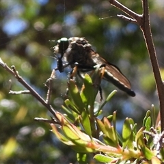 Unverified at suppressed - suppressed