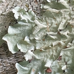 Unverified at suppressed - suppressed