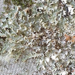 Unverified at suppressed - suppressed