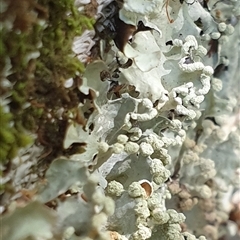 Unverified at suppressed - suppressed