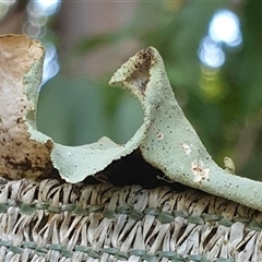 Unverified at suppressed - suppressed