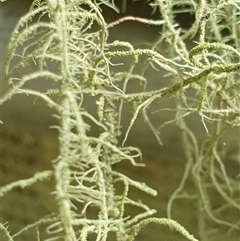 Unverified at suppressed - suppressed