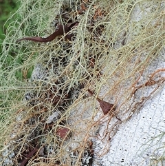 Unverified at suppressed - suppressed