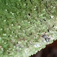 Unverified at suppressed - suppressed