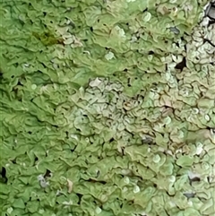 Unverified at suppressed - suppressed