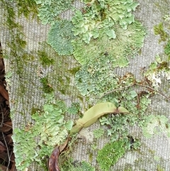 Unverified at suppressed - suppressed