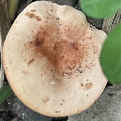 Unverified at suppressed - suppressed