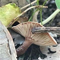 Unverified at suppressed - suppressed