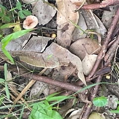 Unverified at suppressed - suppressed