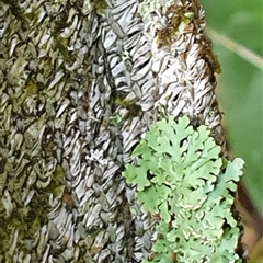 Unverified at suppressed - suppressed