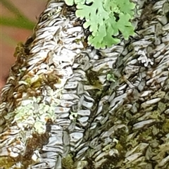 Unverified at suppressed - suppressed