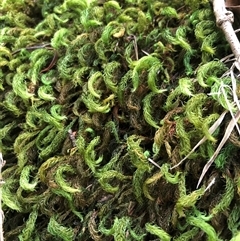 Unverified at suppressed - suppressed