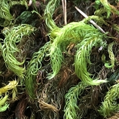 Unverified at suppressed - suppressed