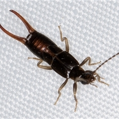 Unverified at suppressed - suppressed