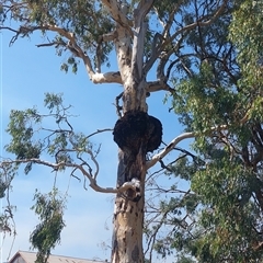 Unverified at suppressed - suppressed