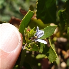 Unverified at suppressed - suppressed