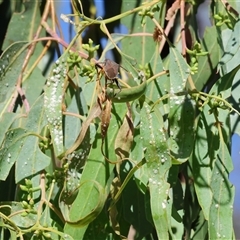 Unverified at suppressed - suppressed