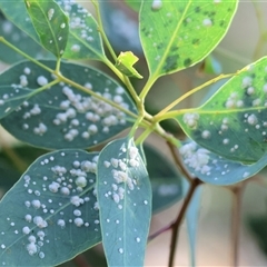 Unverified at suppressed - suppressed