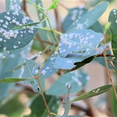 Unverified at suppressed - suppressed