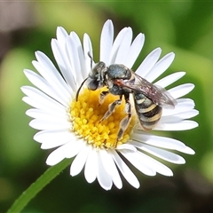 Unverified at suppressed - suppressed