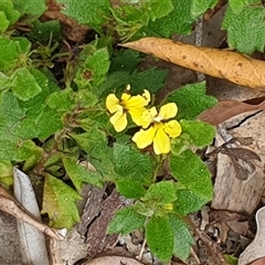 Unverified at suppressed - suppressed