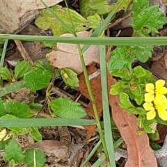 Unverified at suppressed - suppressed