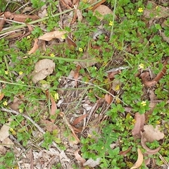 Unverified at suppressed - suppressed