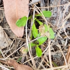 Unverified at suppressed - suppressed